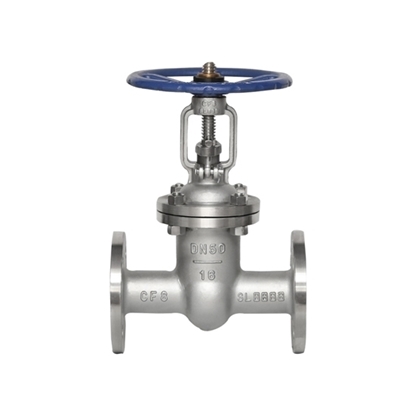 1" Stainless Steel Flanged Gate Valve