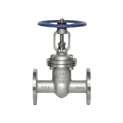 2" Stainless Steel Flanged Gate Valve