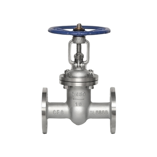 2-1/2" Stainless Steel Flanged Gate Valve