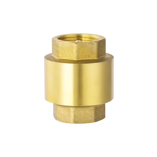thumbnail image 2 of 1-1/4 Inch NPT Stainless Steel Vertical Check Valve – Spring Type, 1000 Psi WOG, Female Thread 2 of 6