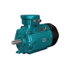 Picture of 1.5hp (1kW) Explosion Proof Motor, 380V, 2P/ 3P/ 4P