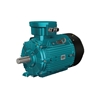 Picture of 4hp (3kW) Explosion Proof Motor, 380V, 2P/ 3P/ 4P
