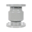 Picture of 2" Silent Check Valve for Sump Pump