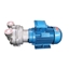 Picture of 3 HP (2.35 kW) Water Ring Vacuum Pump