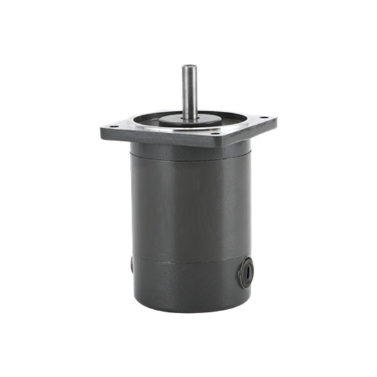 40 W DC Gear Motor, 1800 rpm, 12V/24V