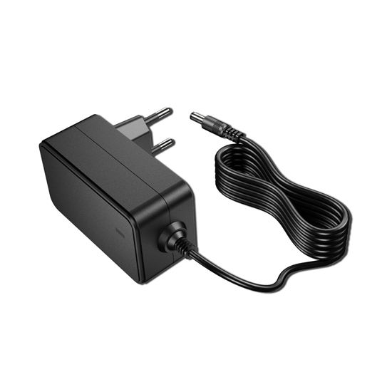 24V AC to DC Wall Adapter, 24W, 1A