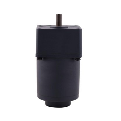 20 W AC Gear Motor, Torque  Motor with Gearbox, single phase