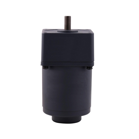 20 W AC Gear Motor, Torque  Motor with Gearbox, single phase