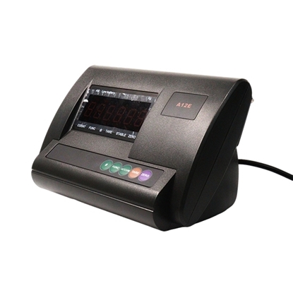 Electronic Weighing Scale Indicator for Truck/ Weighbridge