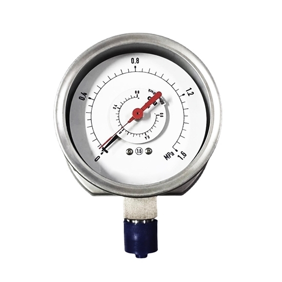 Stainless Steel Differential Pressure Gauge,  0-60MPa