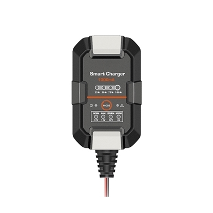 1A Smart Battery Charger, 6V/12V