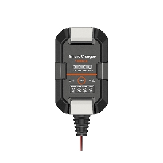 1A Smart Battery Charger, 6V/12V