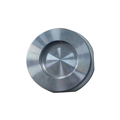 1" Stainless Steel Wafer Check Valve