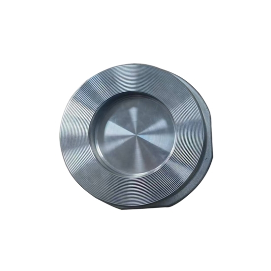 6" Stainless Steel Wafer Check Valve