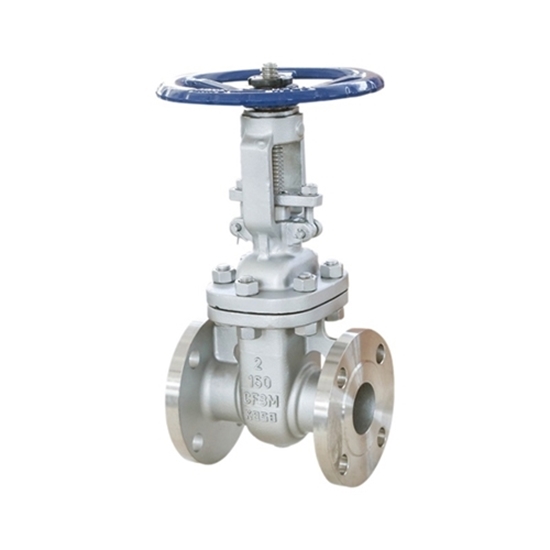 2-1/2" Stainless Steel Flanged Gate Valve
