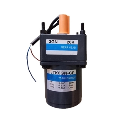 6 W AC Gear Motor, Torque  Motor with Gearbox, single phase