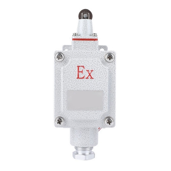 Explosion Proof Limit Switch, Roller Lever/Plunger, 220V/380V | ATO.com