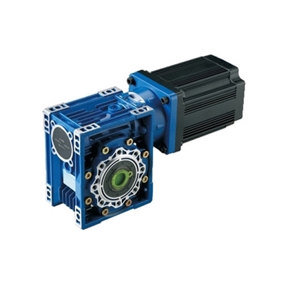200 W DC Worm Gear Motor, 12V/24V/48V