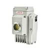Picture of Electric Butterfly/Ball Valve Actuator, 150Nm, 24V/220V